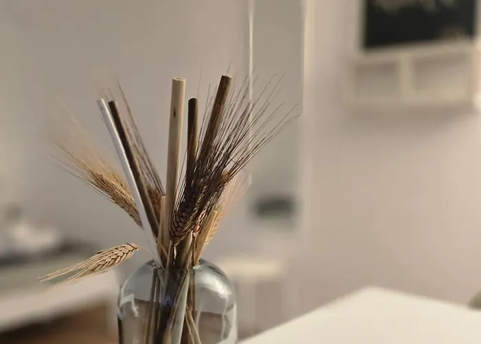 The Roomie, Cozy For Couples Or Friends Bari