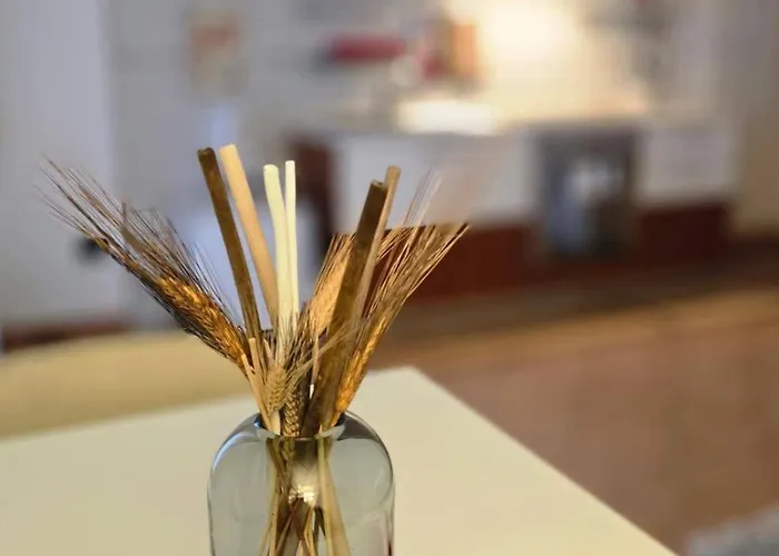 The Roomie, Cozy For Couples Or Friends Apartment